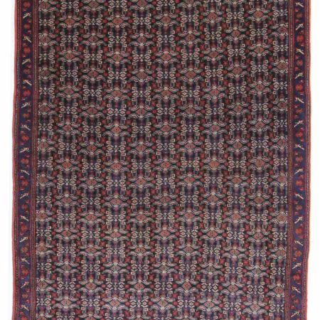 Hand-knotted Persian Senneh carpet